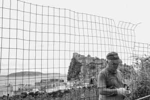 Working with a view at Ischia Ponte