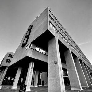 The University of Medicine of Ancona