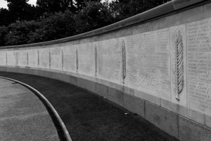 The wall