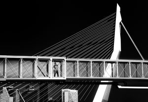 Rotterdam "gangway & Erasmus Bridge"