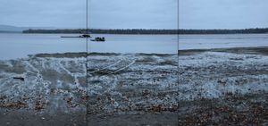 © 2011 Nicholas Adam Wojtas. All Rights Reserved.