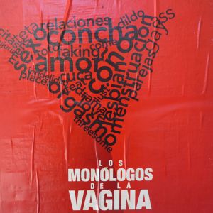 Los Monologos de la V.