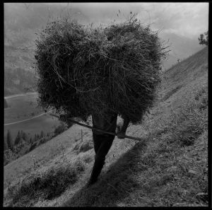 Haystack