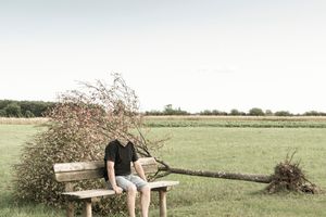 the tree out of mind