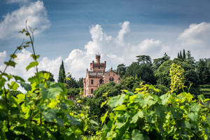 castello di bonomi