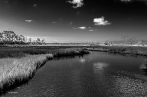 Dennis Creek Upstream