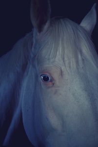 blue eye
