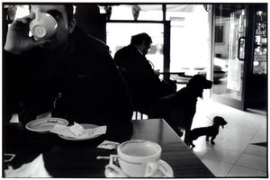 Firenze, Italy, 2006
Analog photography
