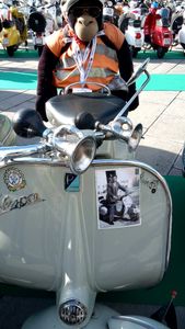 Scooters #5.