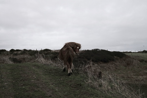 bae caerbwdy. off road abereiddi to solfach