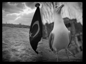 Freedom, Fishermen and Refugees The Galata Bridge in Istanbul ©Dominic Jan Geis