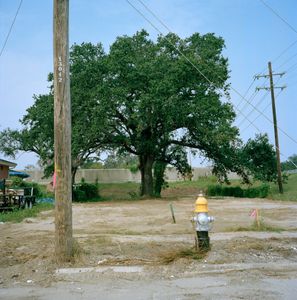 Untitled 09-07                                      ©2007 Colleen Mullins