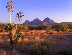 Tres Hermanas (Three Sisters) near Deming, South West.