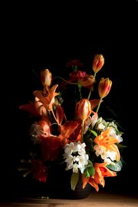 © Kathryn Jago
