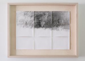 Pinhole Studies [riverscapes 007] © Meghan Duda 2014