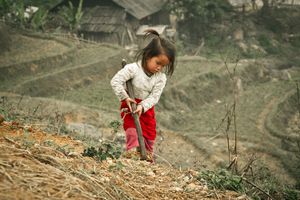 Working Little Girl
