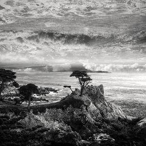 DrowningSky  #7 - Last Cypress