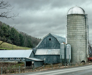 Barn 4- Otsego County, NY