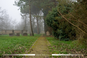 The cemetery