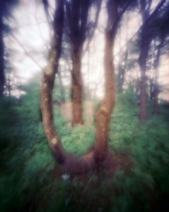 untitled, 2013; archival pigment print from large frormat pinhole negative   © DM Witman