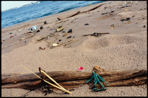 South Beach, Staten Island, 2003