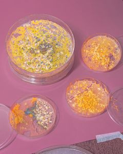 (Untitled) Slime Mold I, 2018