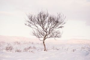 January