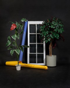 Untitled Window Yellow Back drop