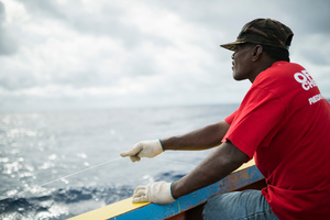 Impact of overfishing #13