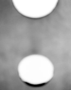 © Philip V. Augustin