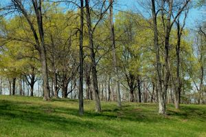 Potosi, Missouri.