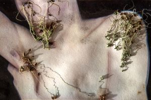 Ecosex in The Other Way Around
