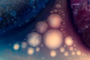 Other Worlds