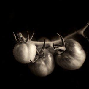 Heirloom Tomatoes