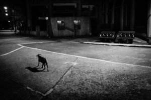 Night in the Philippines 05