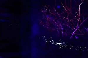 Time Traveling Blue Beam i02MF