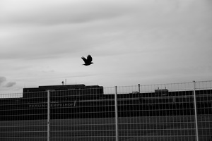 52° 31' 27.73" N, 13° 24' 37.91" E #011, 2016