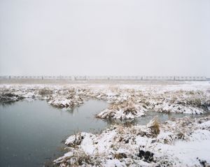 A-Train, Jamaica Bay, Queens, 2013