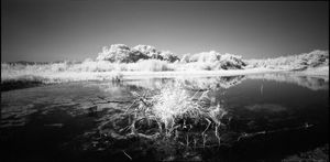 Mother Lake in White #1