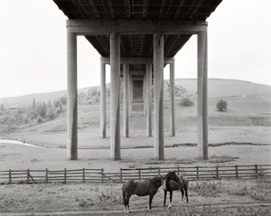 Rakewood viaduct.