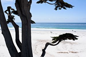 White Sand Beach in Carmel