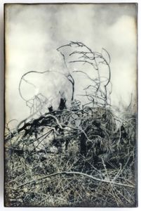 Burn, 2014