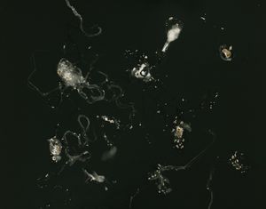 Supercluster Arion, Cloud 2t, 2012; unique silver gelatin print mounted to anodized aluminum; 11 x 14 in.; © DM Witman