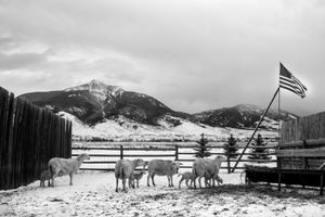 Pinto Ranch