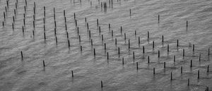 piling
