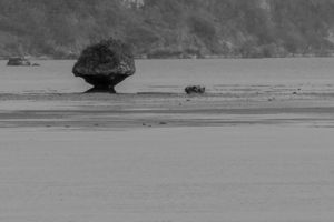 Drizzling Bay-04