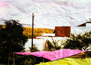 Honest Landscape