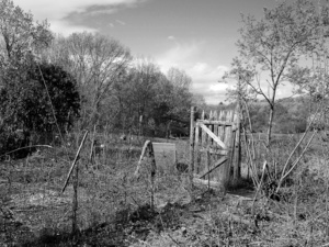 Fence at the Community Garden