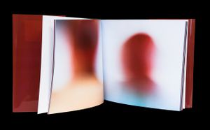 Heads © Olivia Parker, 2008