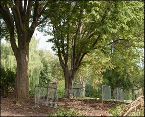 Fencing